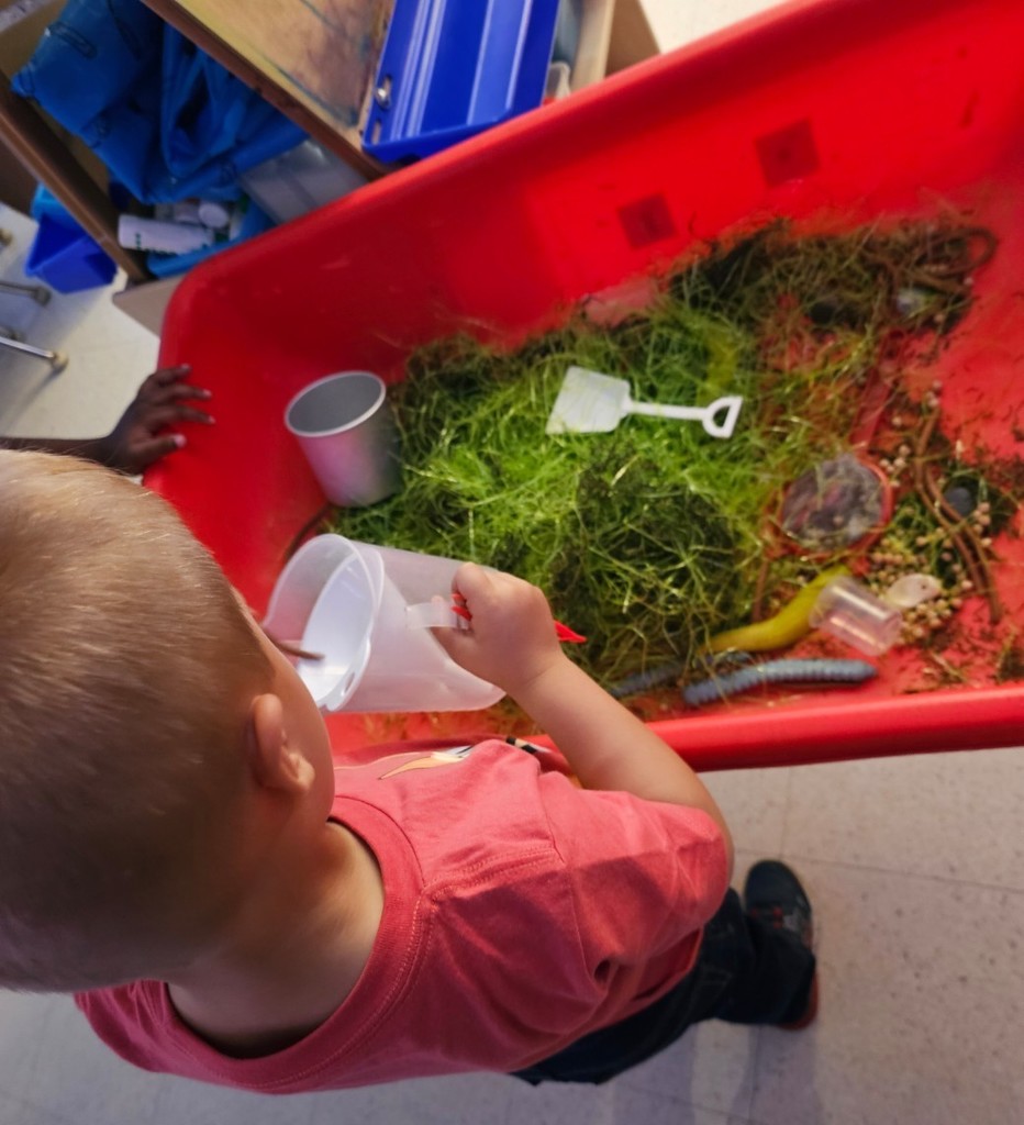 Sensory table play.