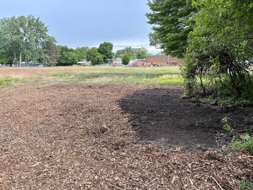 United Way Days of Action