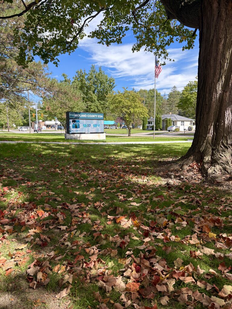 Fall Photo of Sugnet