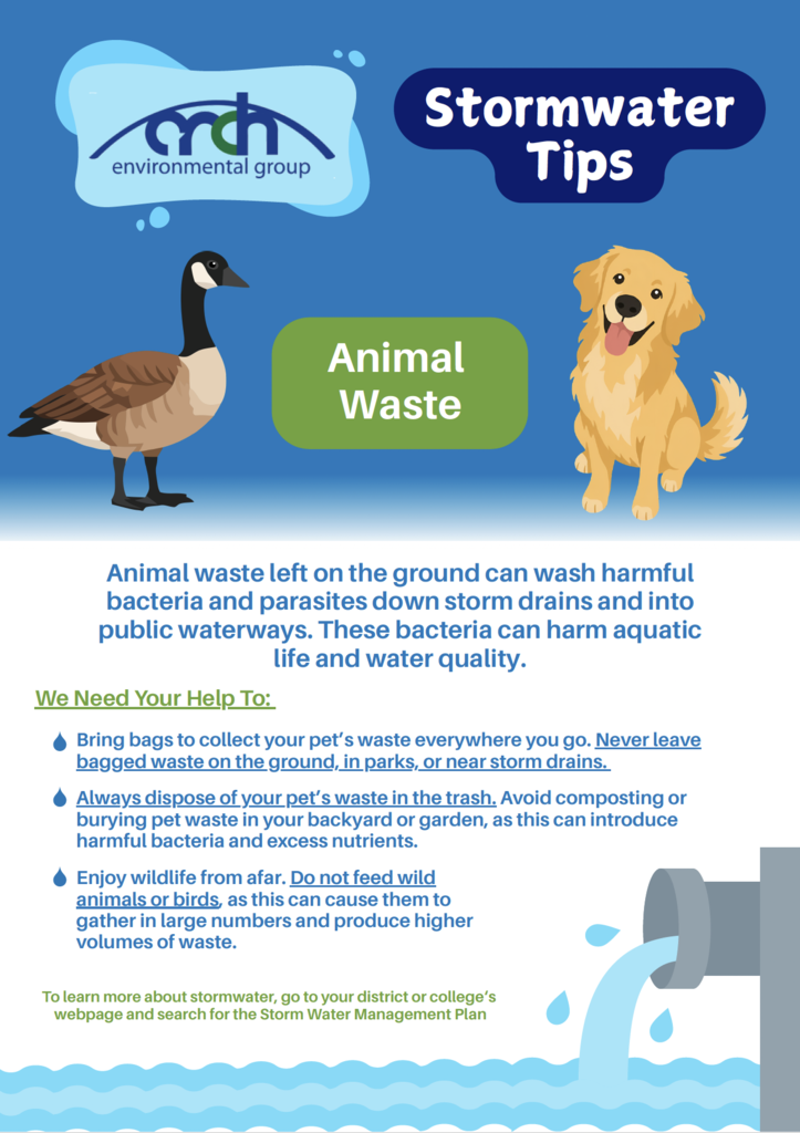 Stormwater Tips regarding proper disposal of animal waste
