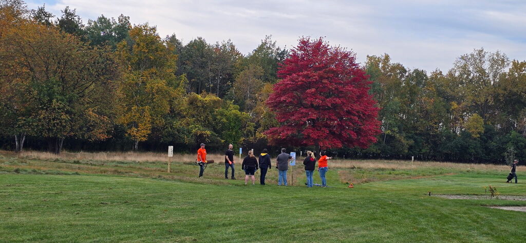 Project Wildflower at Longview
