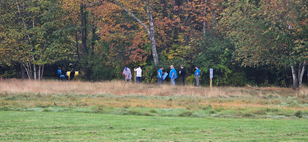 Project Wildflower at Longview