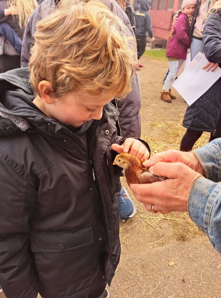 Grandma's Pumpkin Patch Field Trip holding chicken