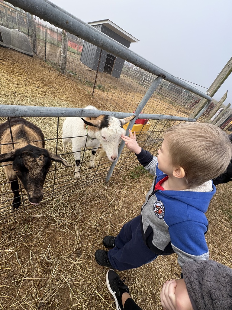 Grandma's Pumpkin Patch Field Trip Feeding Goats