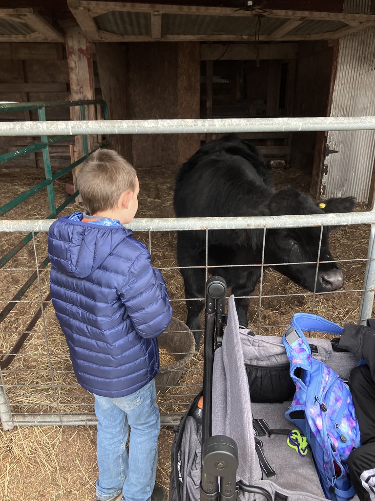 Grandma's Pumpkin Patch Field Trip