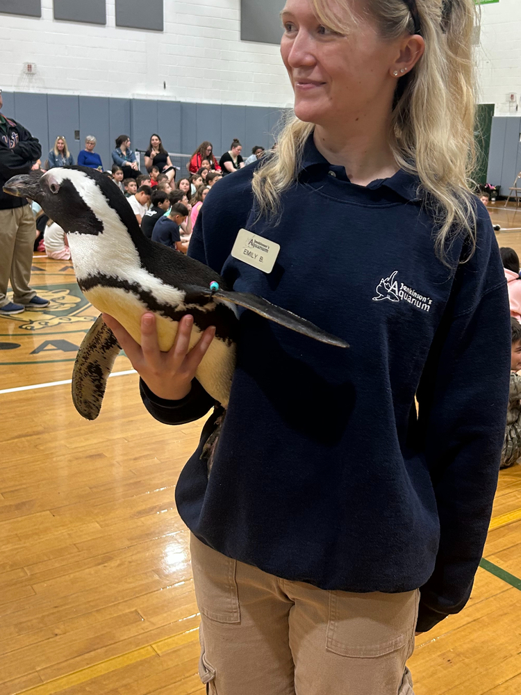 penguin