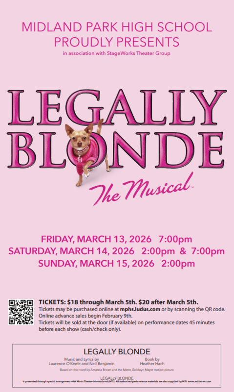 Legally Blonde Flyer