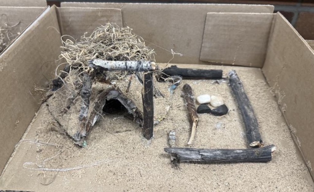 a hidatsa home