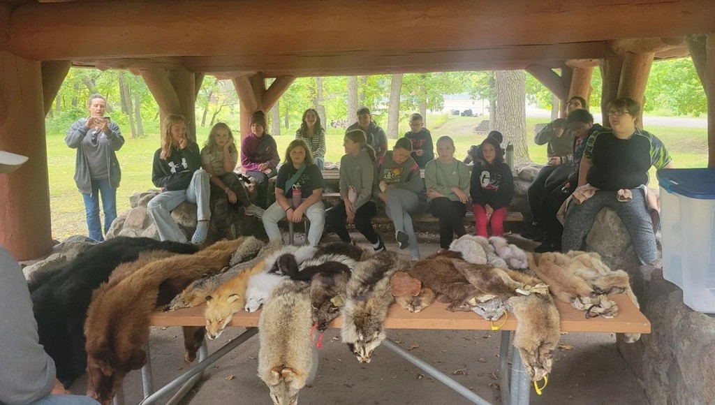 learning about animals