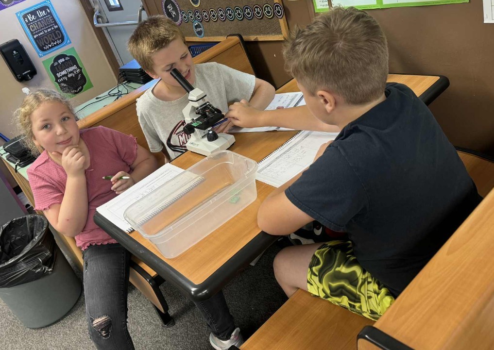 3 kids looking at the microscope.