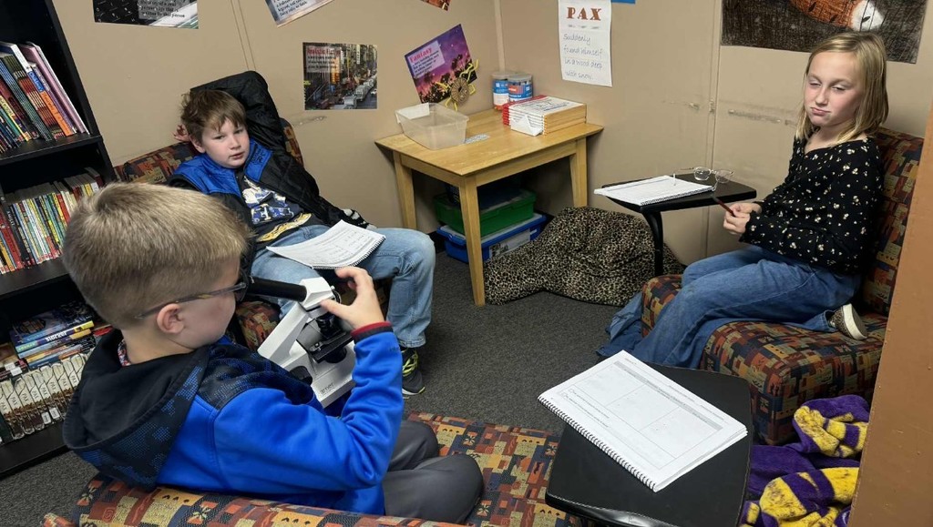 3 kids looking through the microscope.