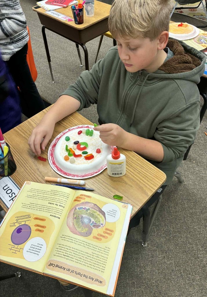 a boy building a cell