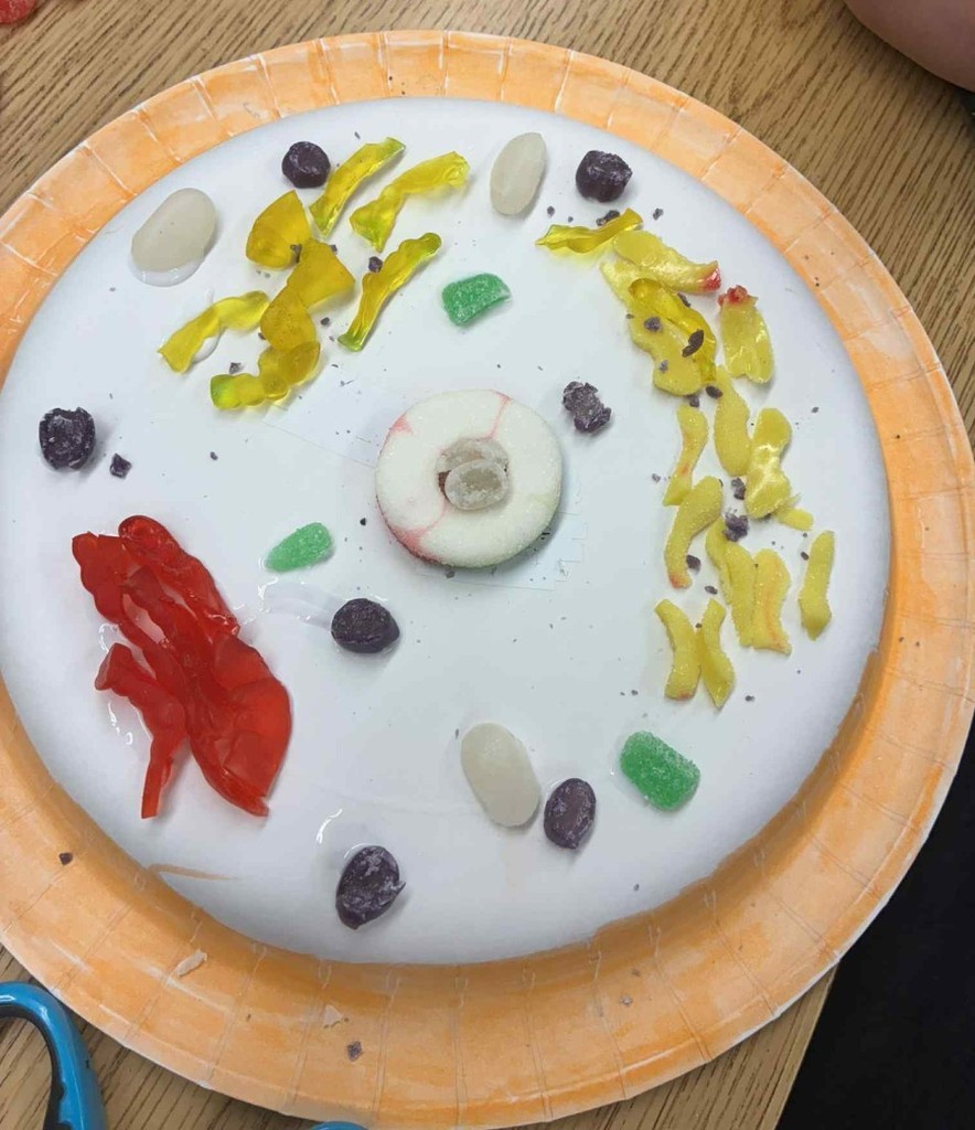 one of the handmade cells.