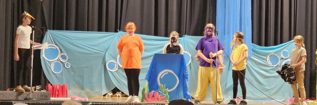 Nemo and her friends