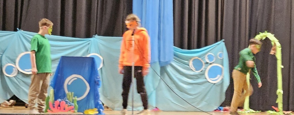 Marlin and the turtles