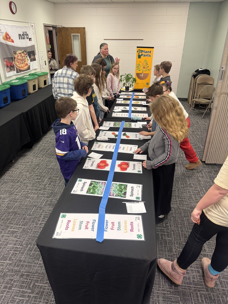 kids doing an activity