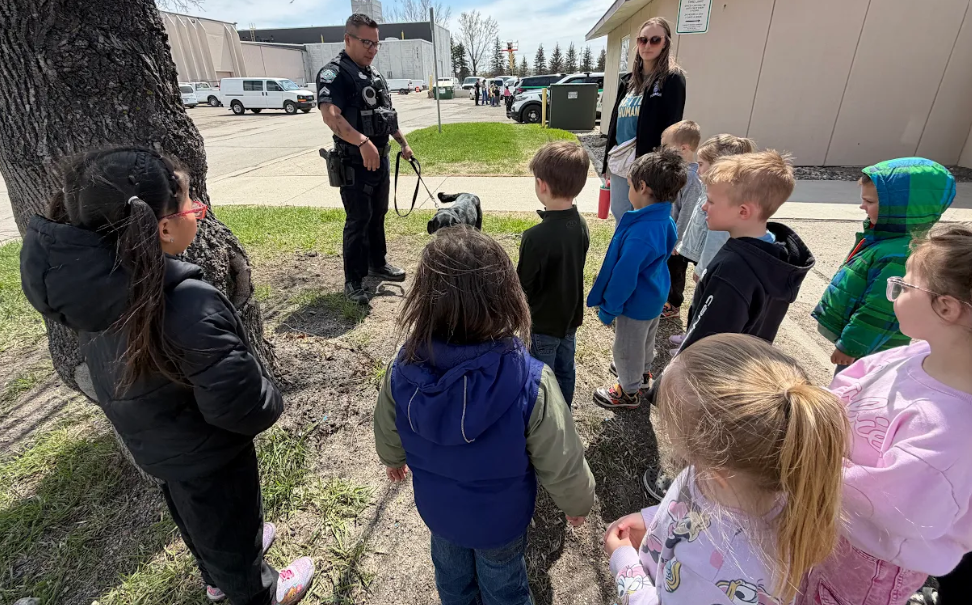 learning about the police dog