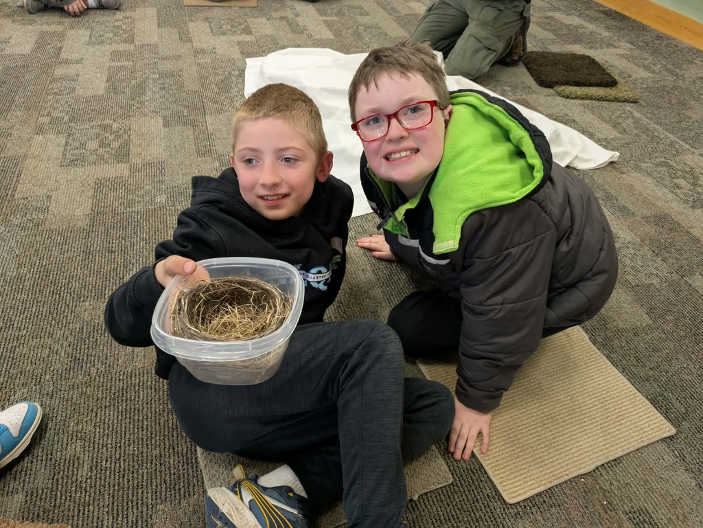 2 boys learning about nests