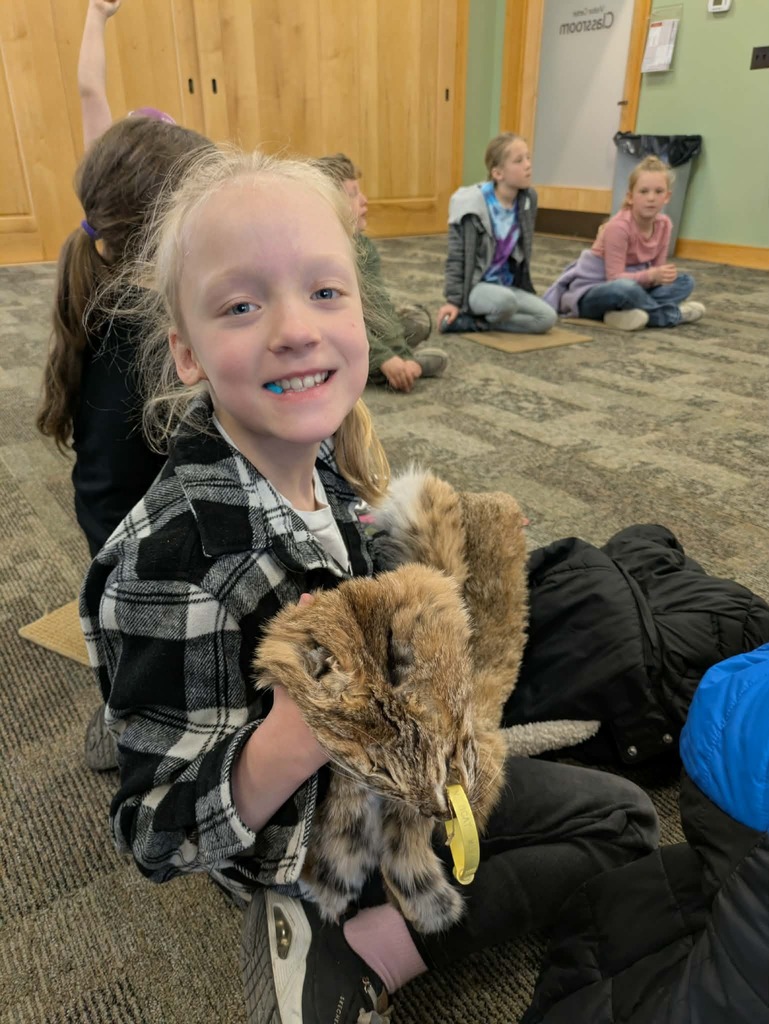 a girl with a fox