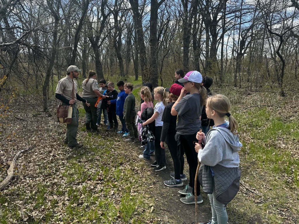 looking for animals