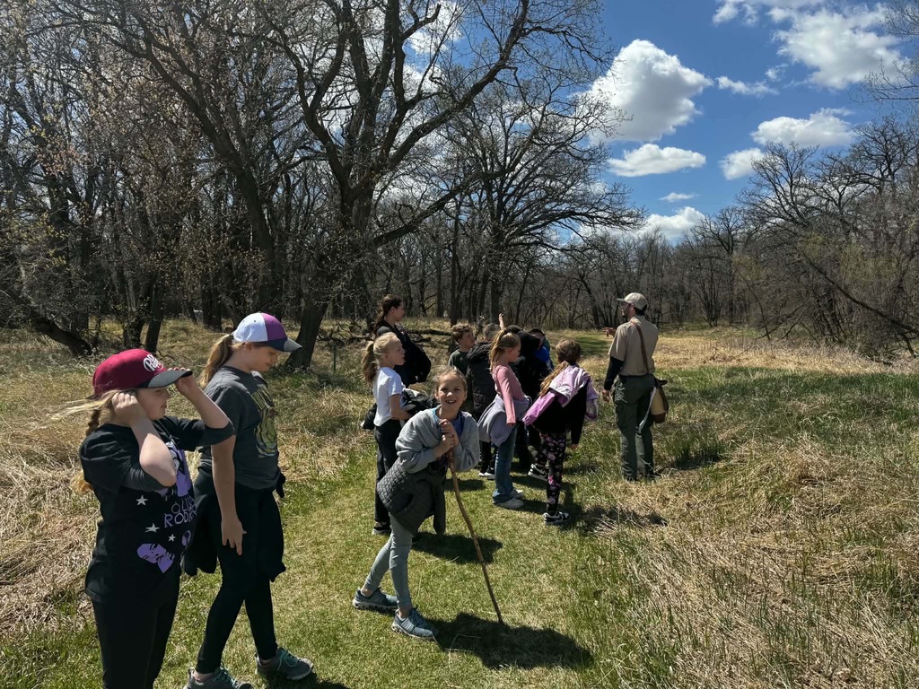 looking for animals