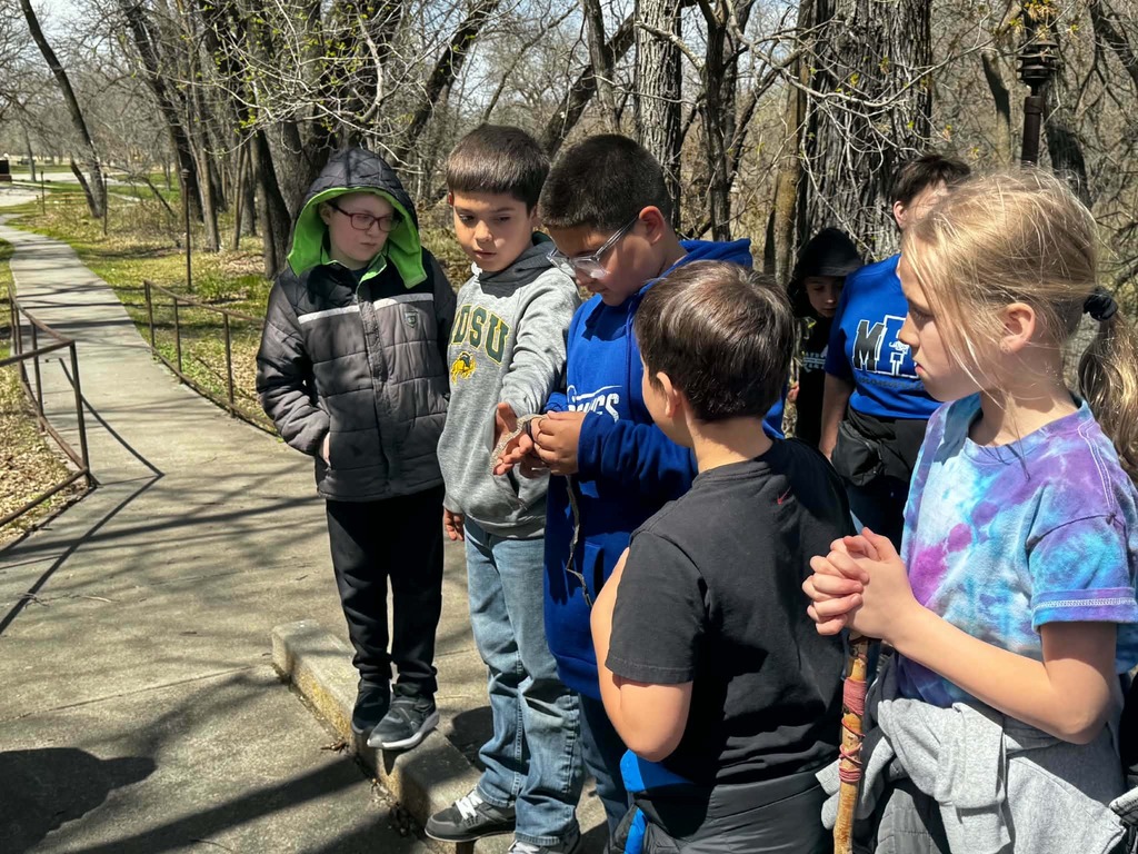 looking at a snake skin