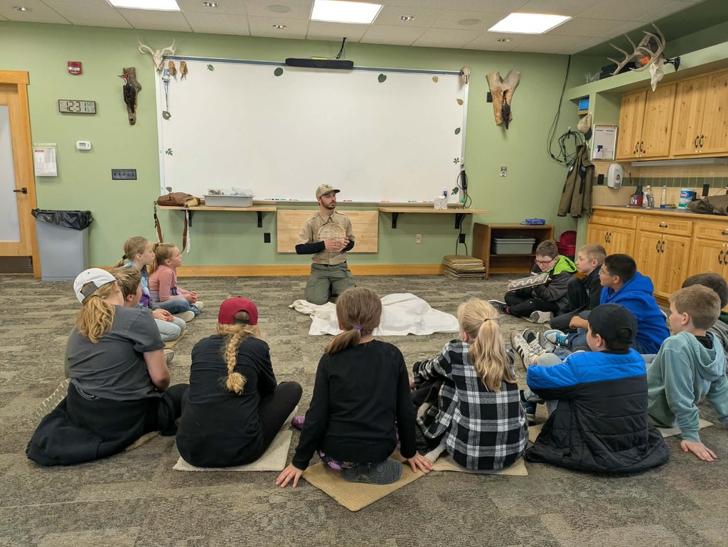 learning about animals