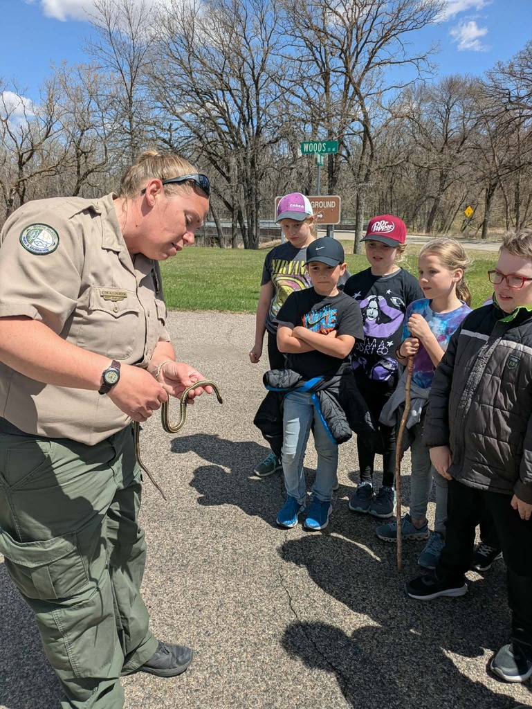 looking at a snake