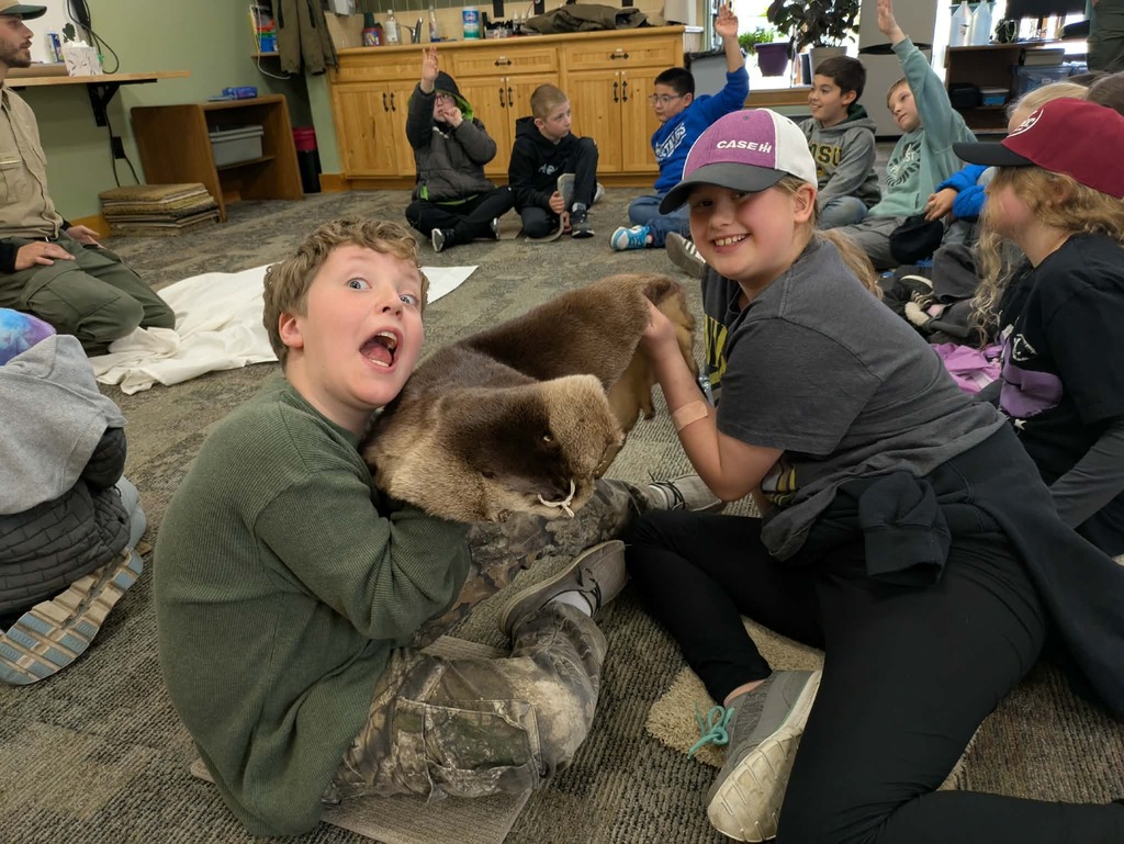 touching a beaver pelt