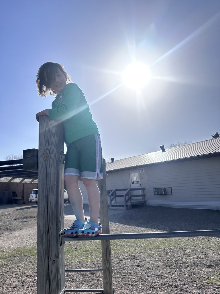 a boy climbing on a monkey bar.