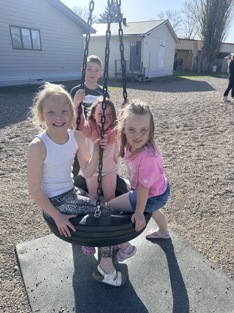 girls on the tire swing
