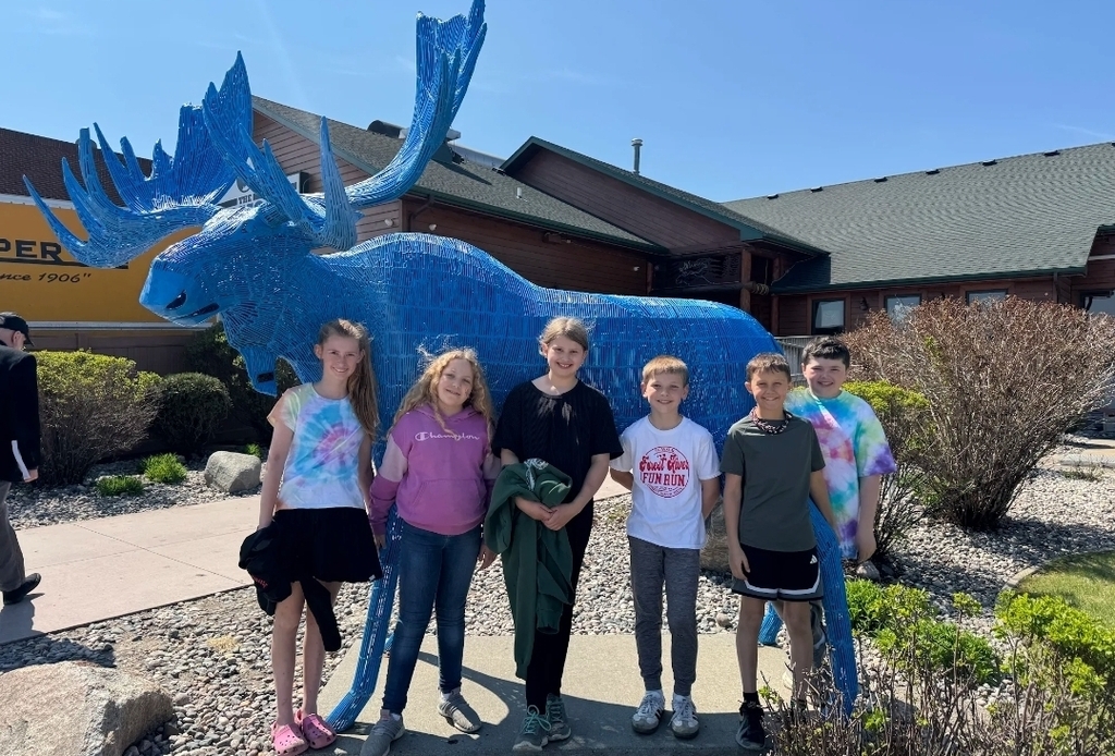 blue moose
