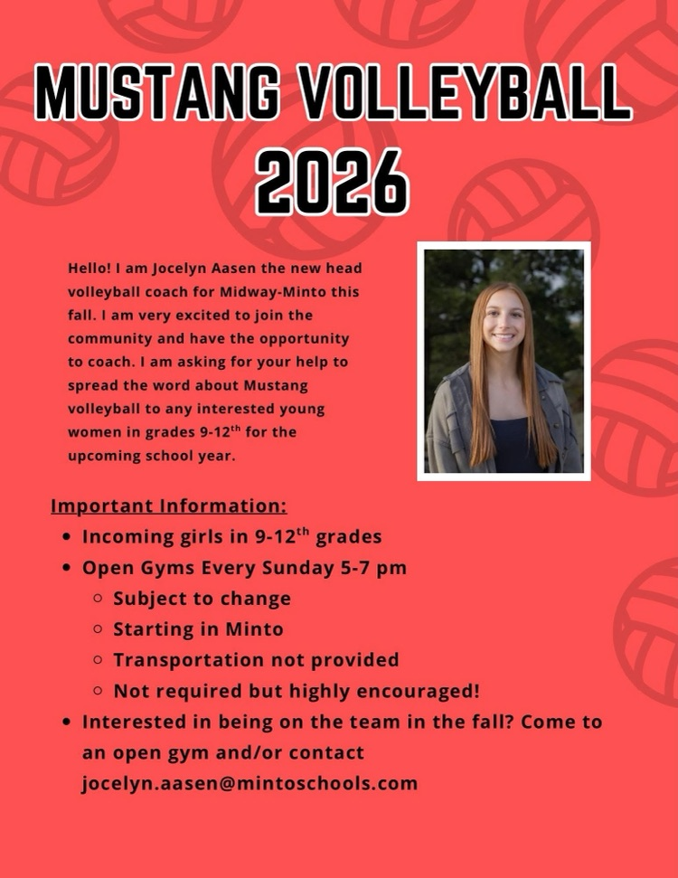 new vb coach