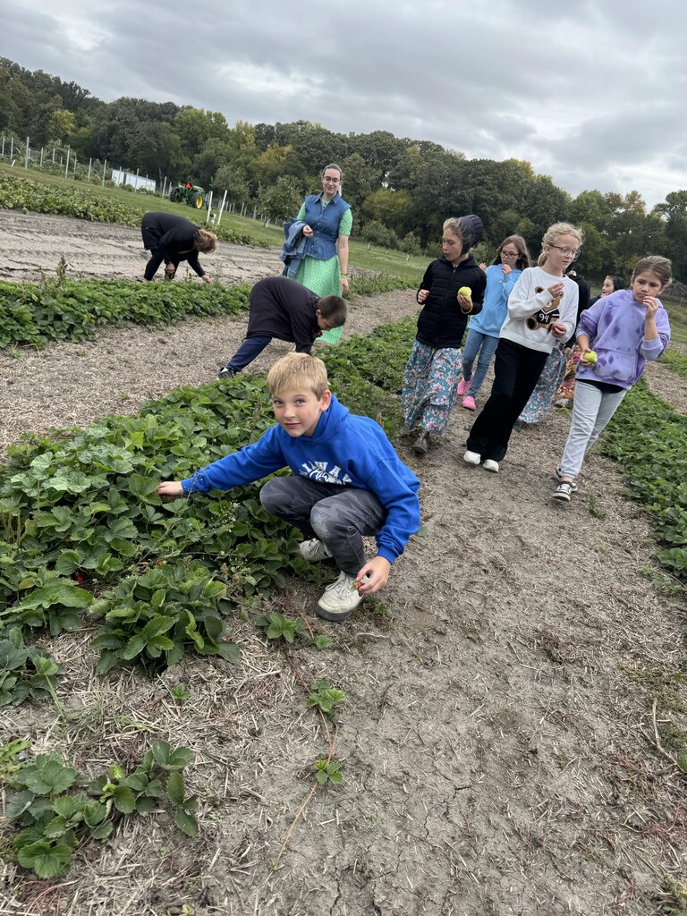 kids picking strawberries