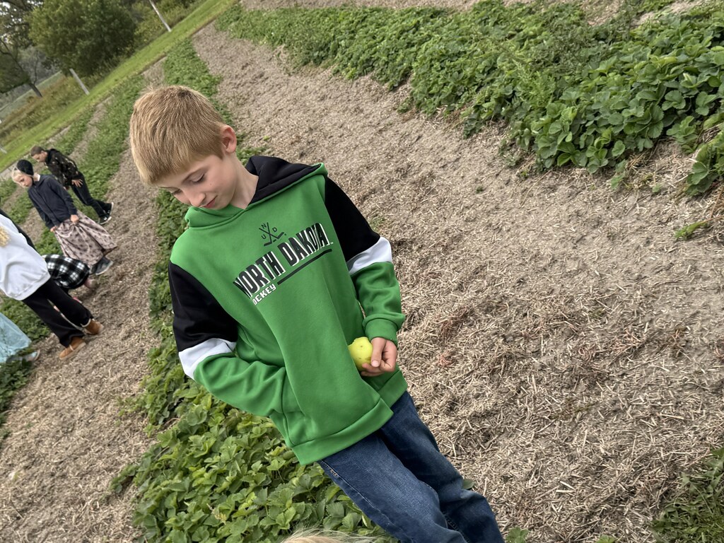 a boy enjoying a walk