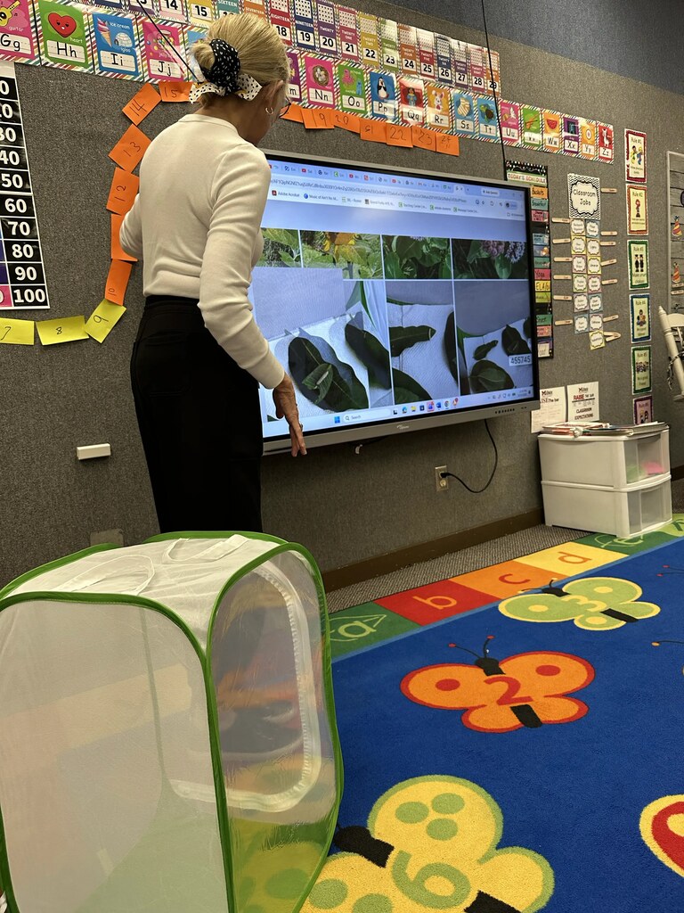 the kids learning about butterflies 