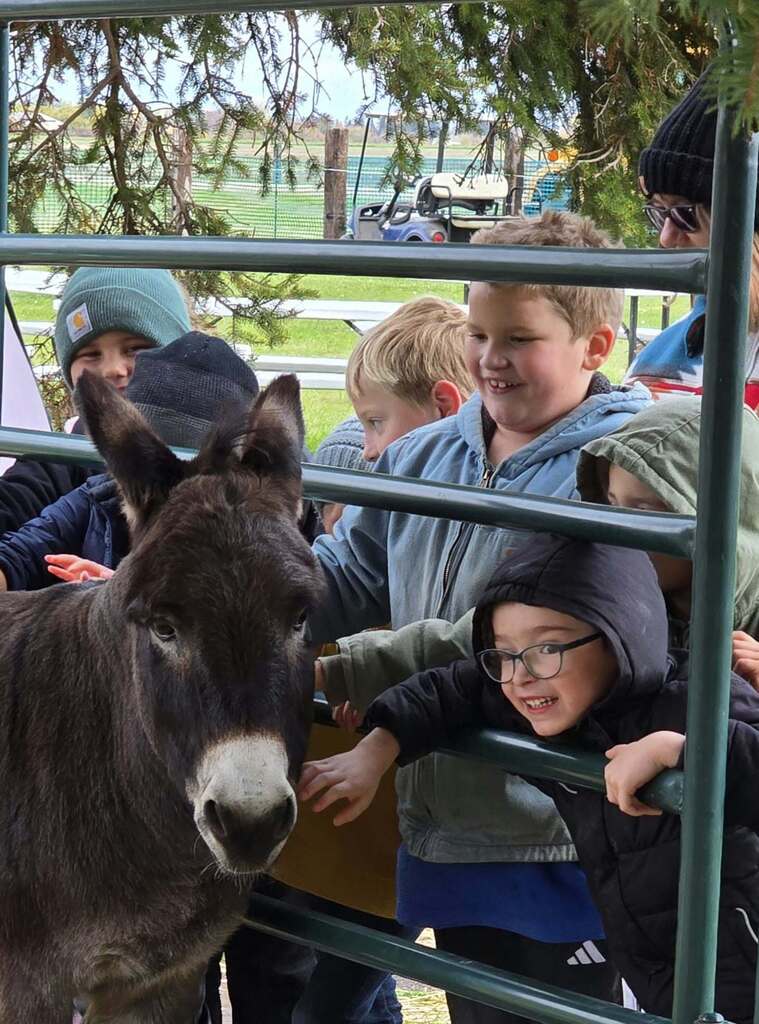 kids petting the donkey