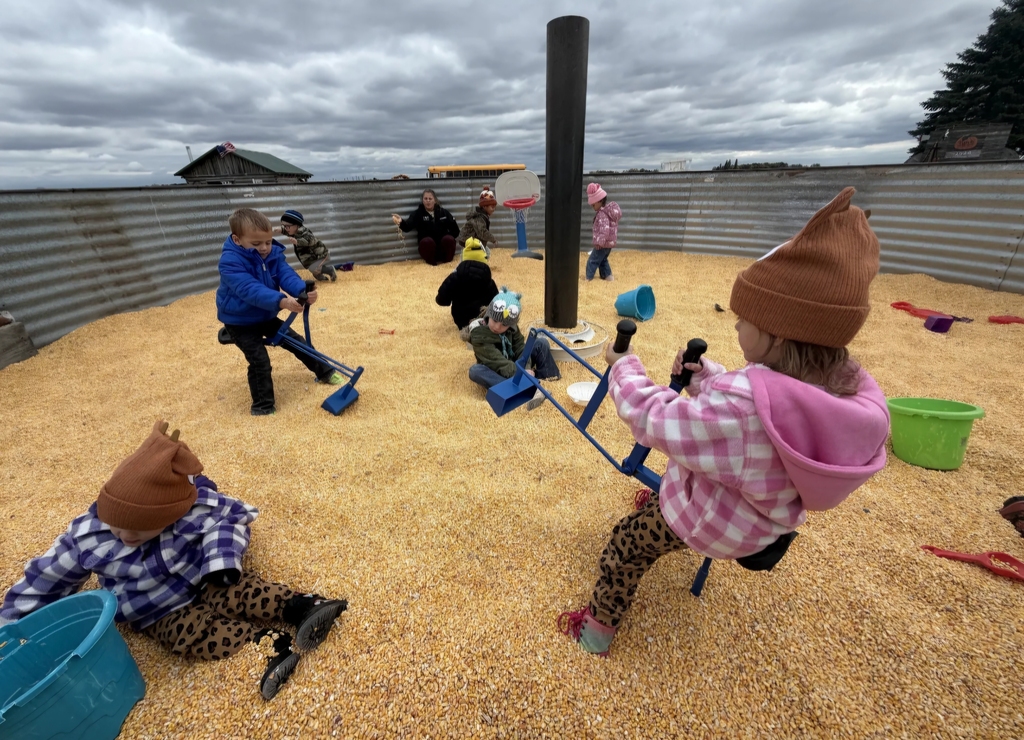playing in the corn!