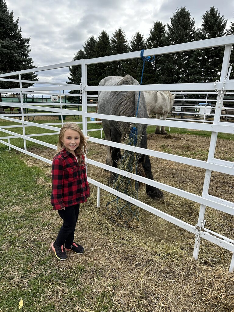 a girl and a horse