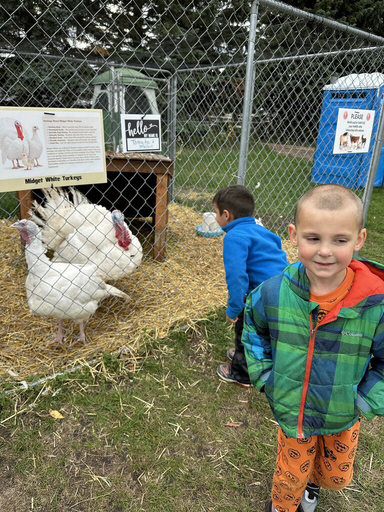 2 kids and turkeys