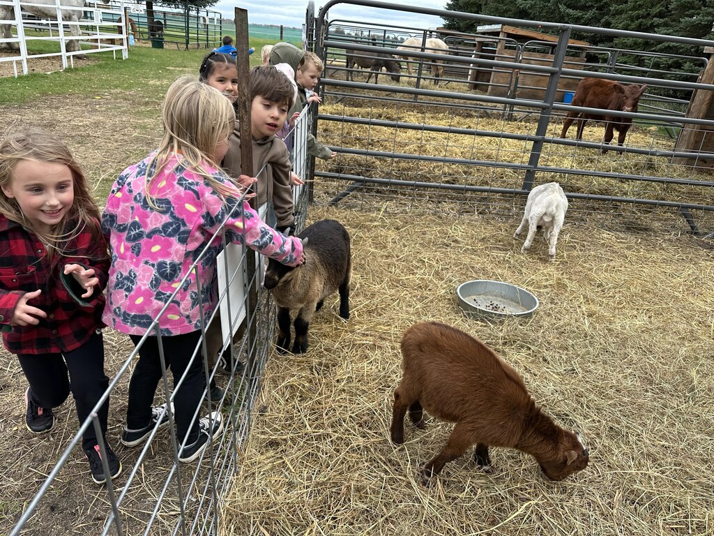 the kids and the goats
