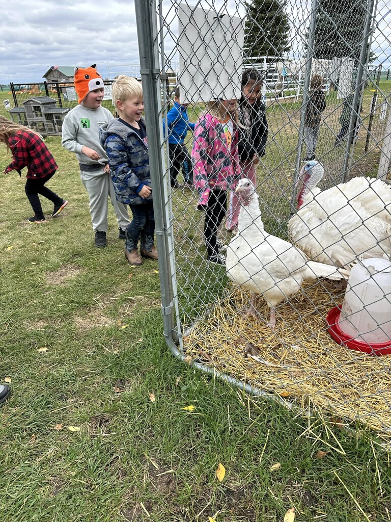 kids and turkeys