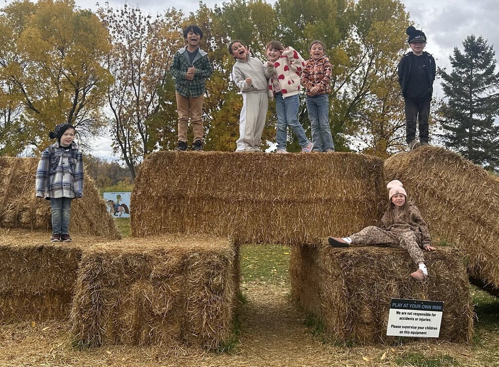 standing on hay bails