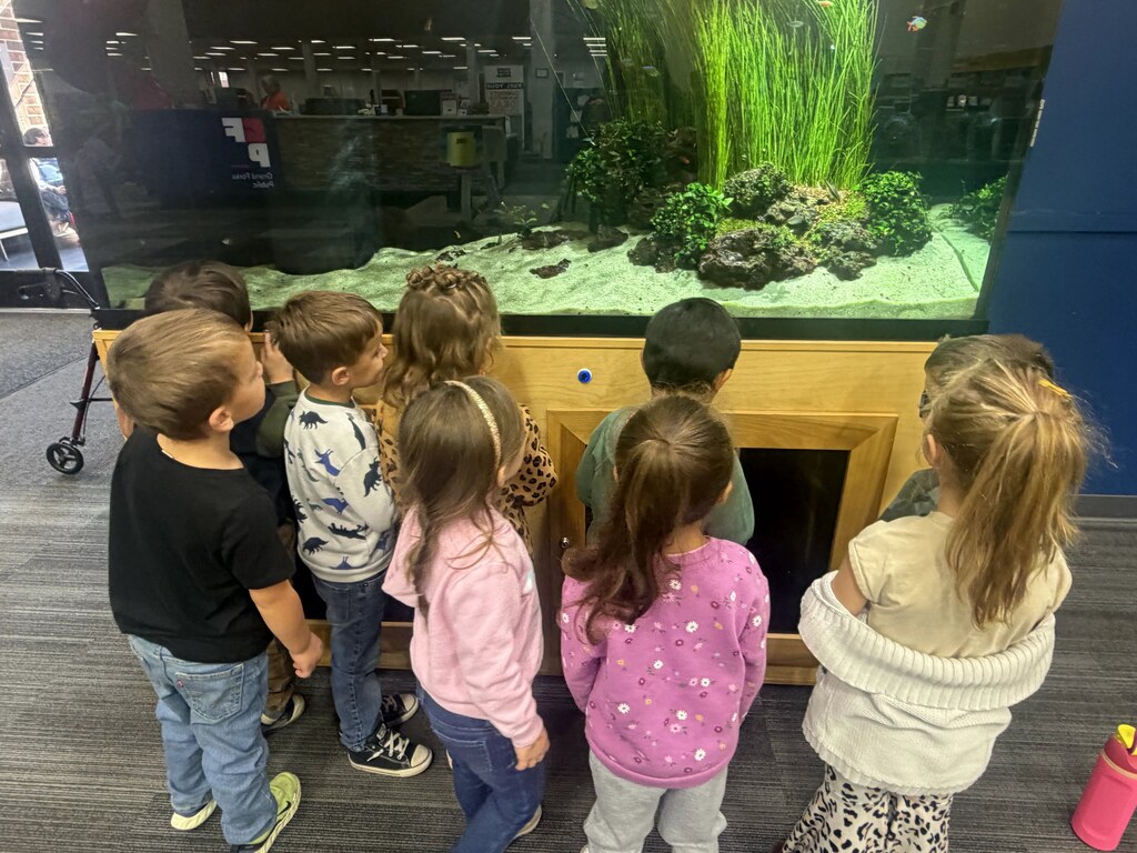 kids looking at the fish tank