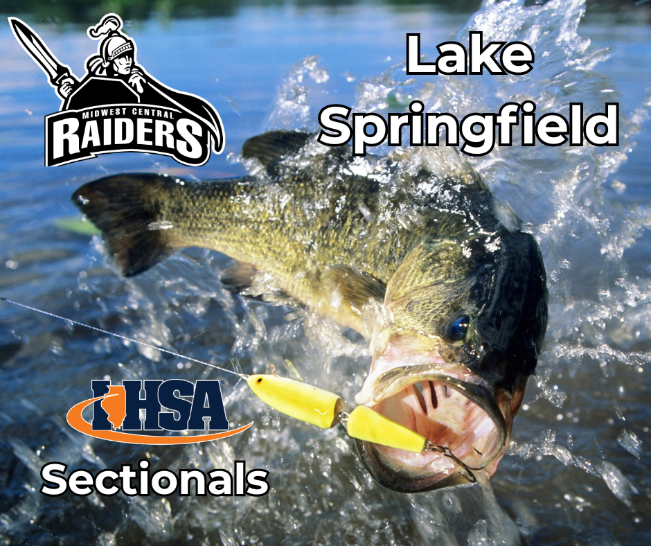 Sectionals