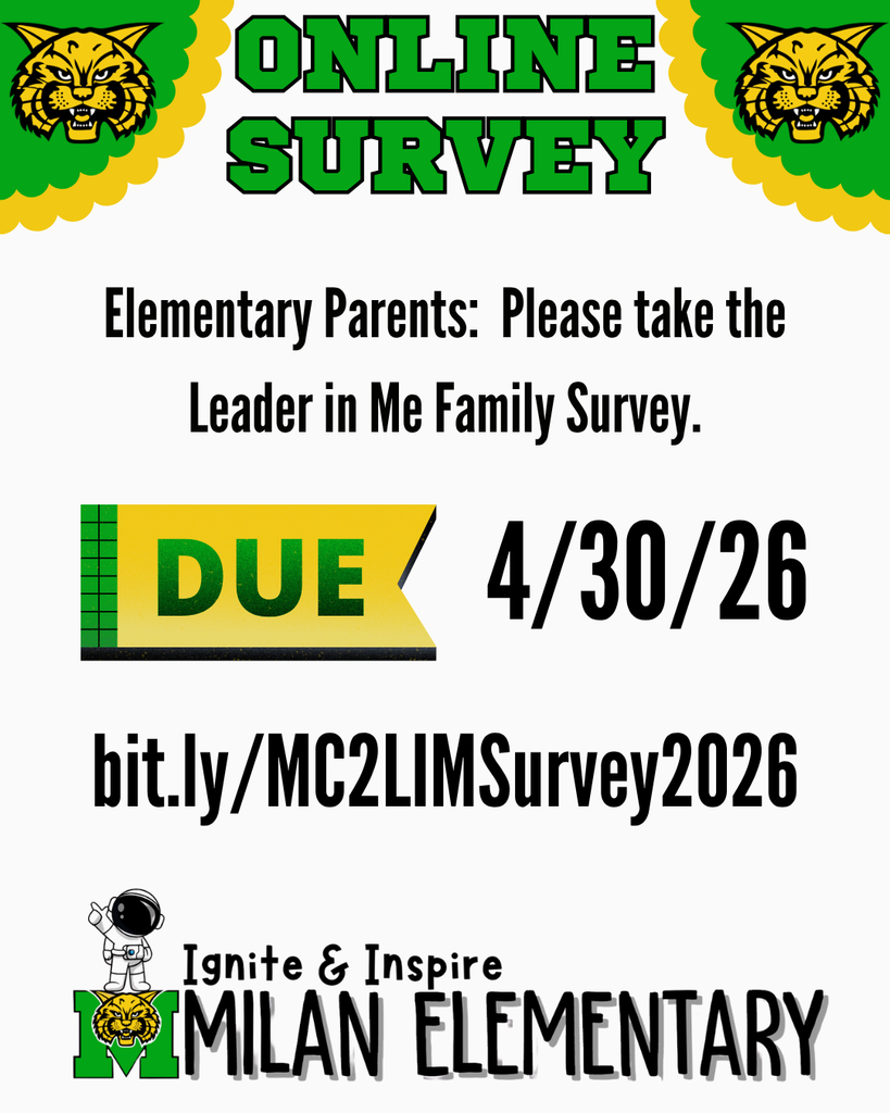 Elementary LIM Survey