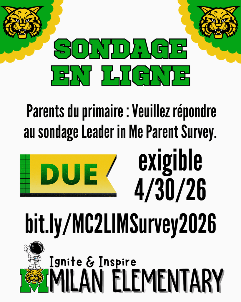 Elementary LIM Survey