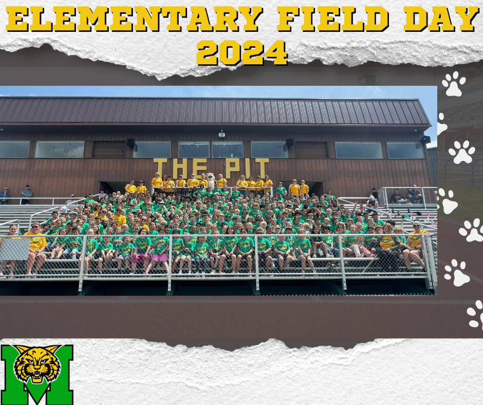 Elementary Field Day