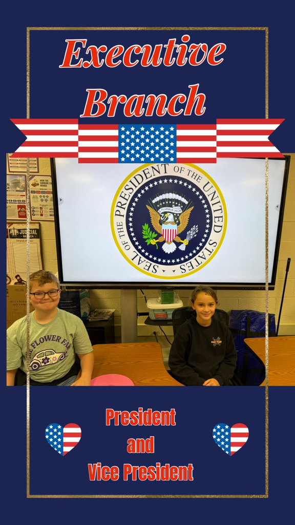 executive branch