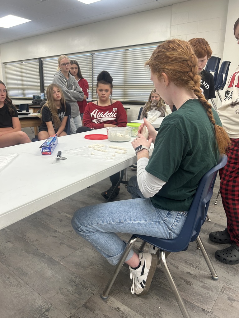 Cincinnati State student and Milan grad Grace Bedel showing FACS students cake decorating techniques.